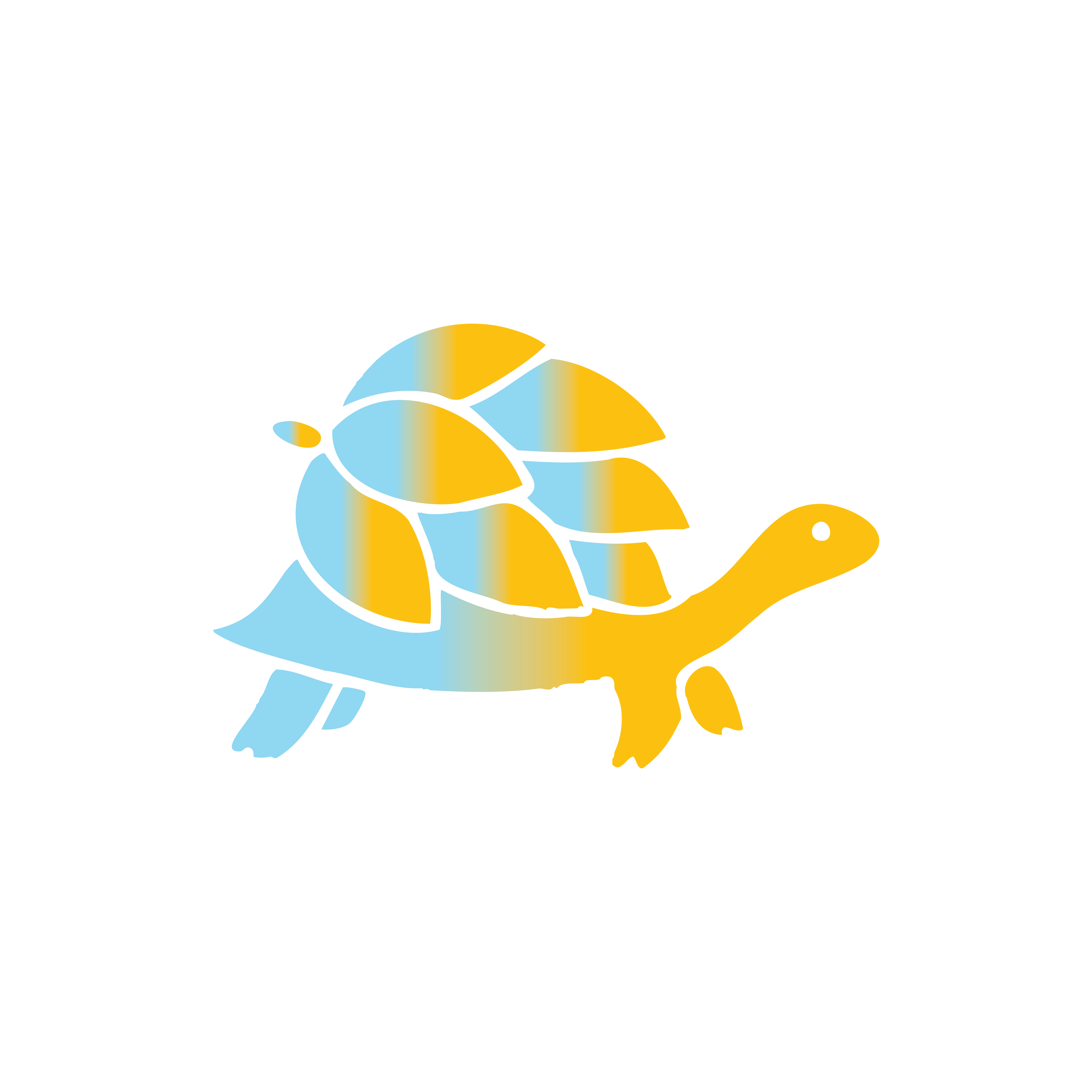 Hopback Turtle